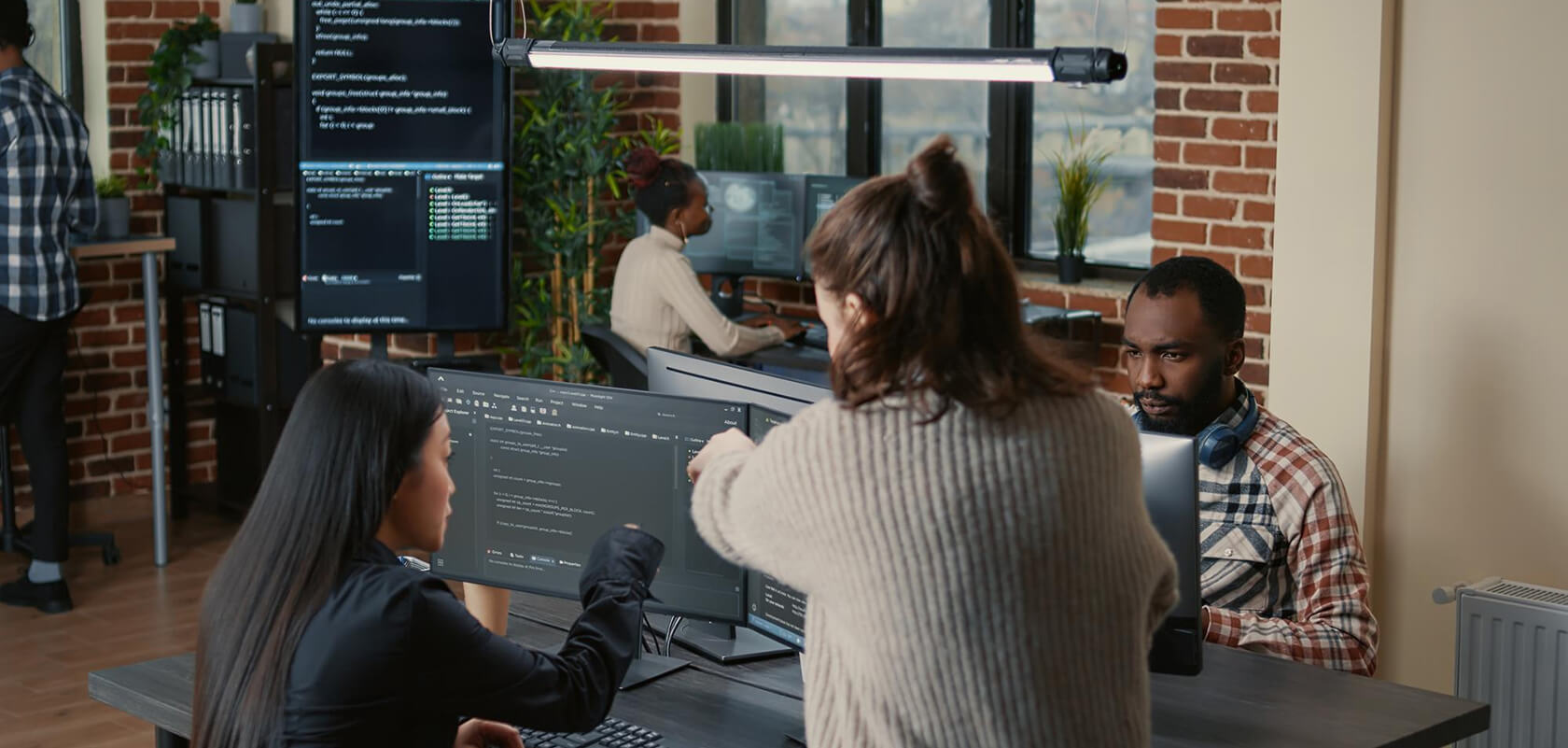 Software/Web Development